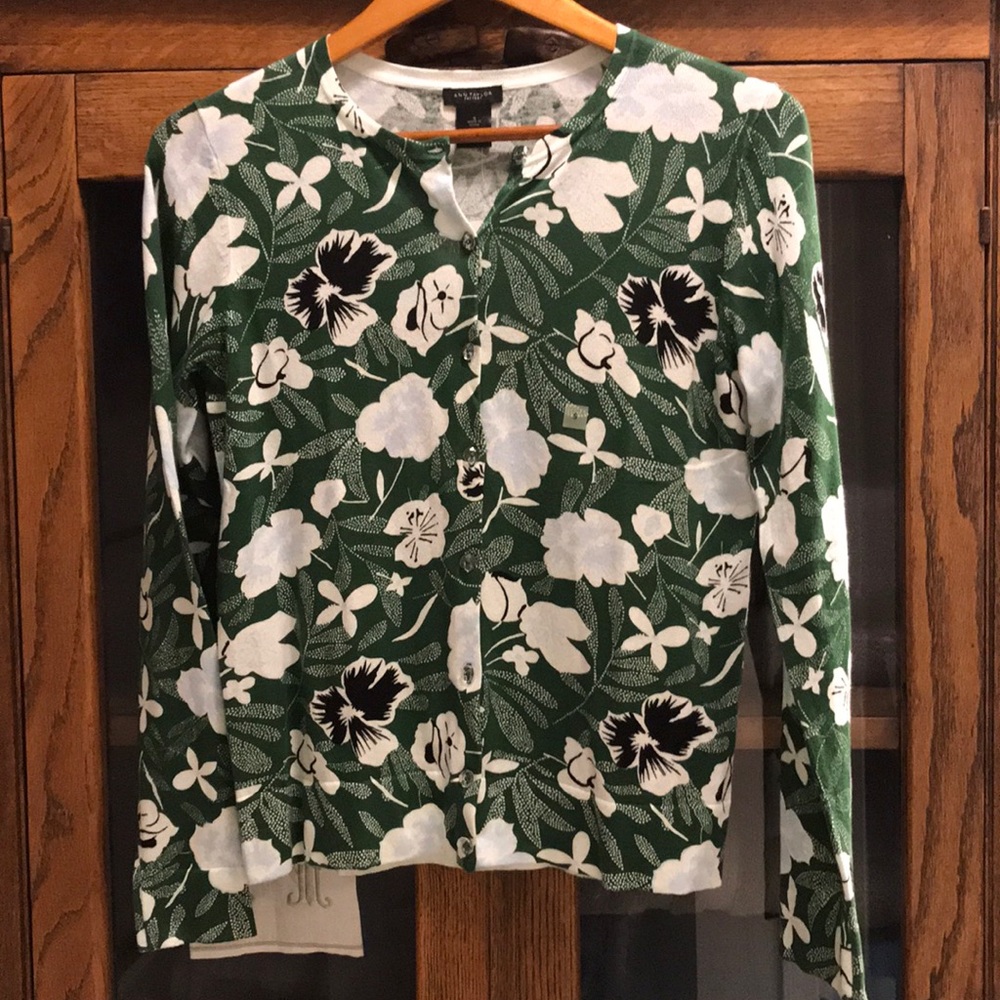 Ann Taylor factory sweater